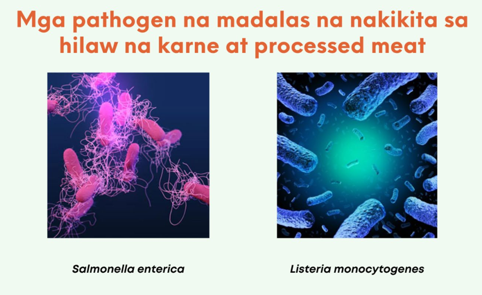 Pathogen_2.png